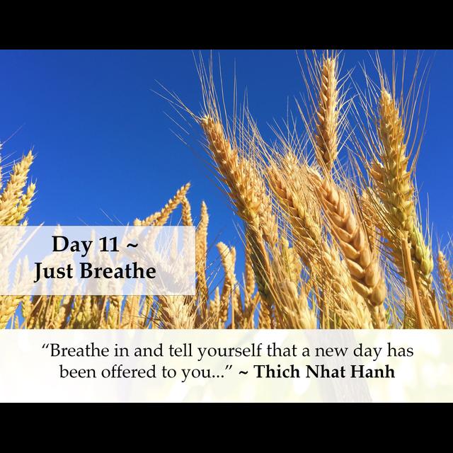MZD - Ep 61 Just Breathe - podcast episode cover