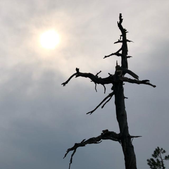 Episode 46: Thunder on the Pacific Crest Trail - podcast episode cover