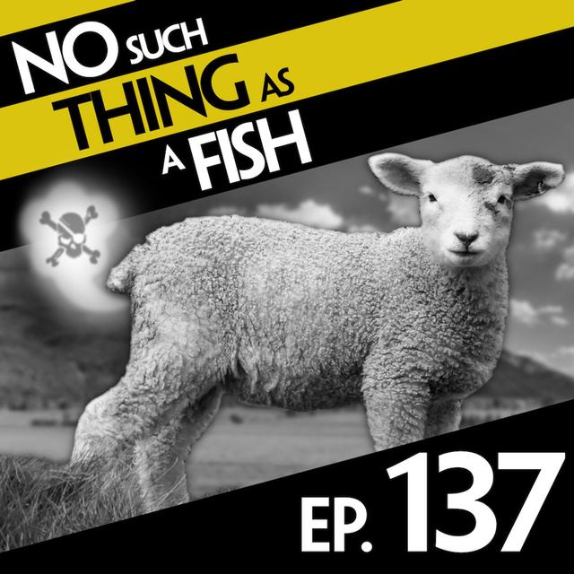 137: No Such Thing As Churchill's Secret Parrot - podcast episode cover