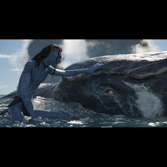 TFR Ep. 637: Avatar: The Way Of Water, Bones And All, 5 Favorite Jimmy Cameron Scenes - podcast episode cover