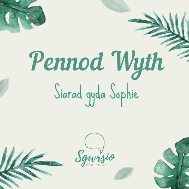 Sgwrsio Pennod 8 - Siarad Gyda Sophie - podcast episode cover
