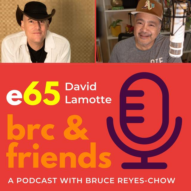 E65 Bruce chats with David Lamotte - podcast episode cover