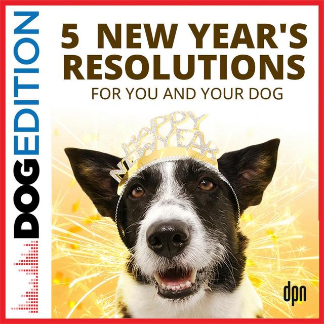 5 New Year's Resolutions for You and Your Dog | Dog Edition #79 - podcast episode cover