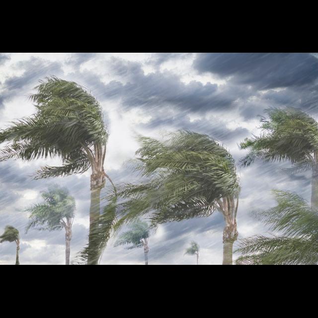 Hurricane Maria Rain Amount Chances Are Boosted by Climate Change - podcast episode cover