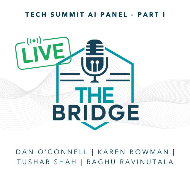 Is this How the World Will End or How Smarter Business Begins?  A Practical Discussion about AI (Part 1) - podcast episode cover