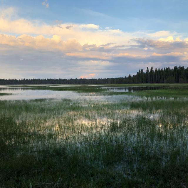 Episode 32: Frogs at Dry Lake - podcast episode cover