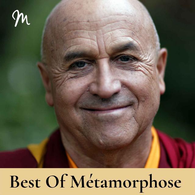 S'émerveiller, un chemin de vastitude intérieure avec Matthieu Ricard  [rediffusion] - podcast episode cover
