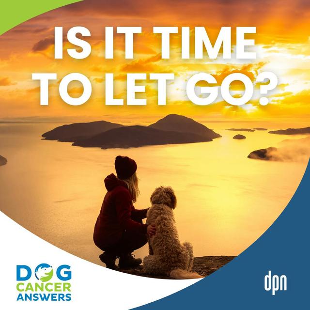 Is It Time to Put My Dog Down? How to Let Go with Love | Dr. Dani McVety #261 - podcast episode cover