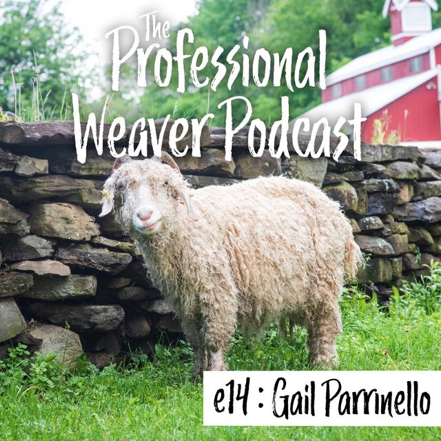 14 : Community Organizations Part 1 : Hudson Valley Textile Project with Gail Parrinello - podcast episode cover