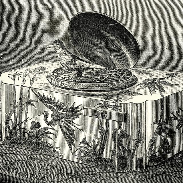 The Scarf and the Snuffbox - podcast episode cover
