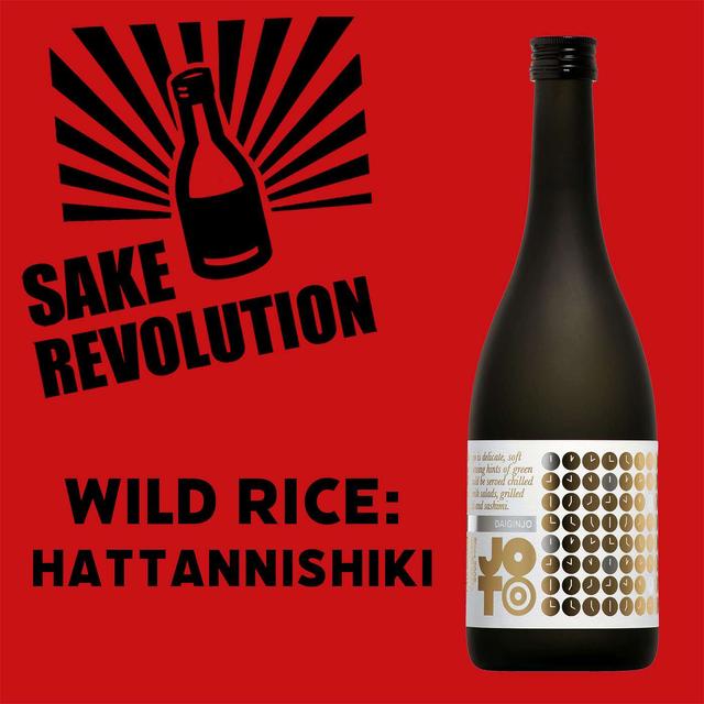 Wild Rice: Hattannishiki - podcast episode cover
