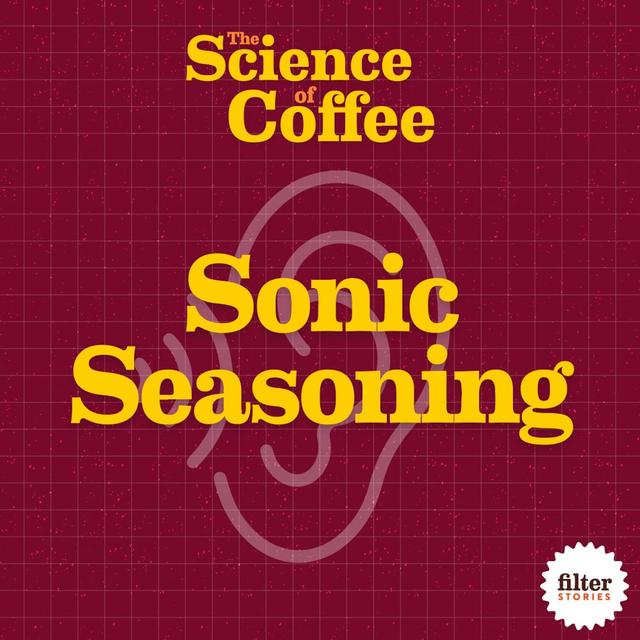 6) Sonic Seasoning - podcast episode cover