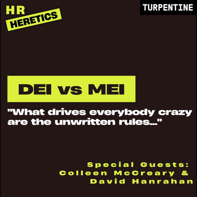 Is MEI the Anti DEI? with Colleen McCreary and David Hanrahan - podcast episode cover