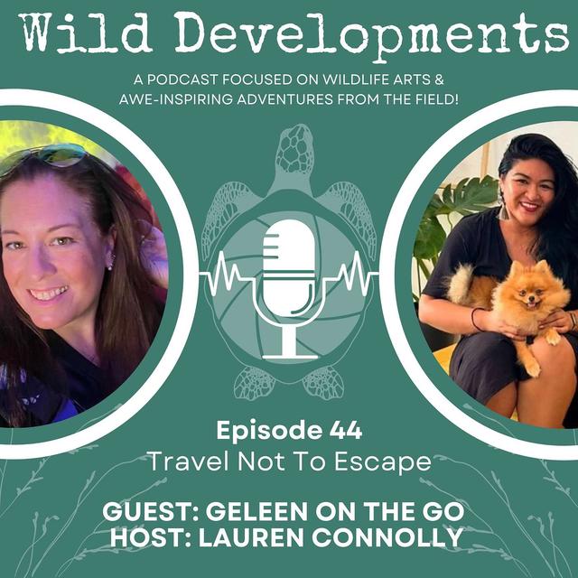 Travel Not To Escape - podcast episode cover
