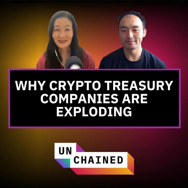Bitcoin Treasury Companies Are Taking Off. Could They Eventually Crash? - Ep. 843 - podcast episode cover