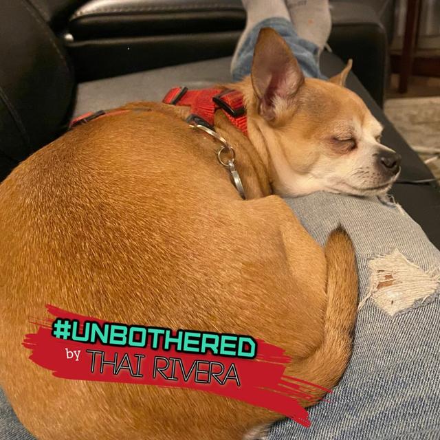 WE Manifested This ~ Unbothered by Thai Rivera ~ Solo - podcast episode cover