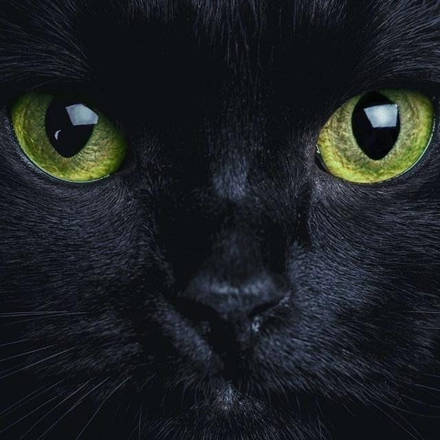 Superstition - podcast episode cover