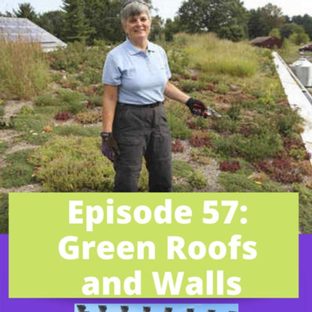 Green Roofs and Walls - podcast episode cover
