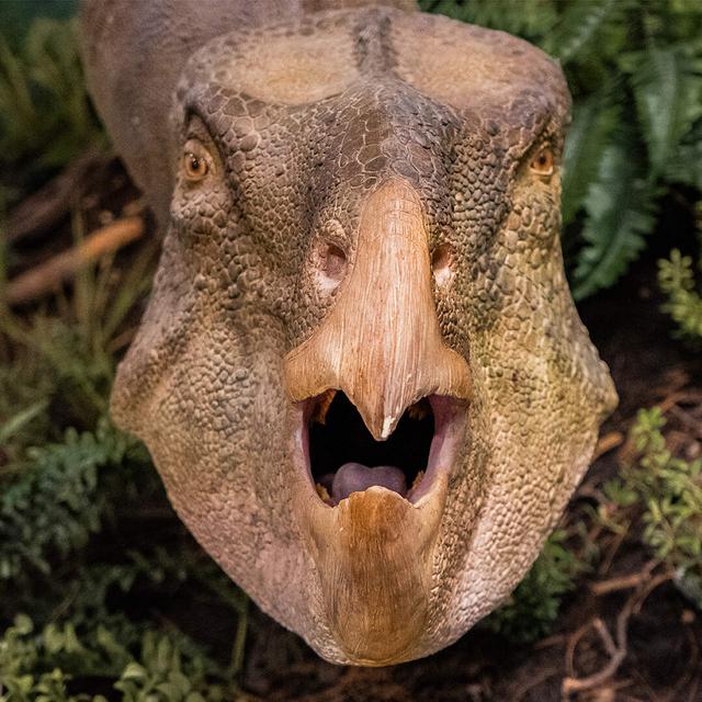 The Day The Dinosaurs Died - podcast episode cover
