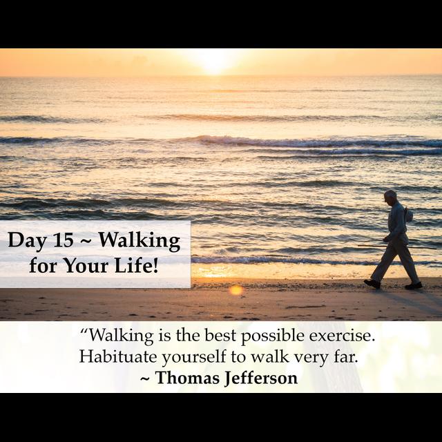 MZD - Ep 65 Walking for Your Life! - podcast episode cover