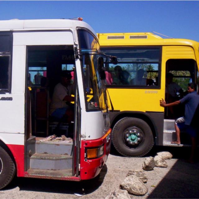 Why use public transport while travelling podcast - podcast episode cover