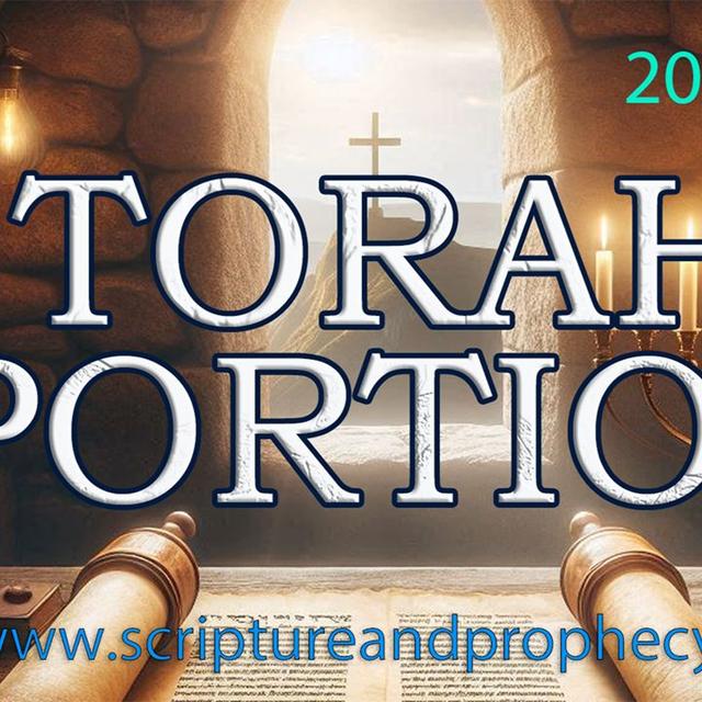 Torah Portion Week 2 - Noach - The Flood of Noah  (2024-2025) - podcast episode cover