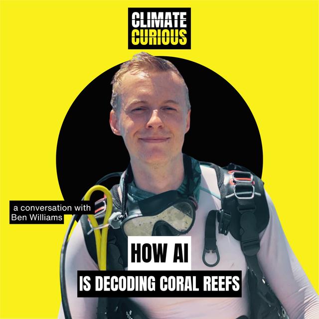 How AI is decoding coral reefs - podcast episode cover