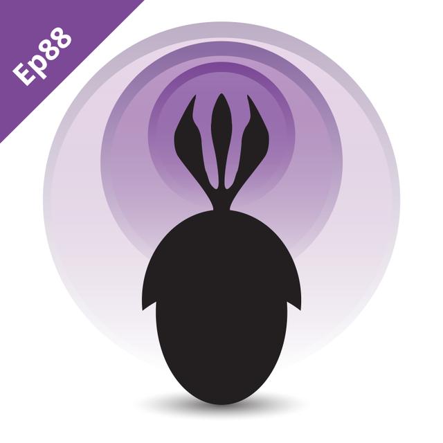 Episode 88: Bacula - podcast episode cover
