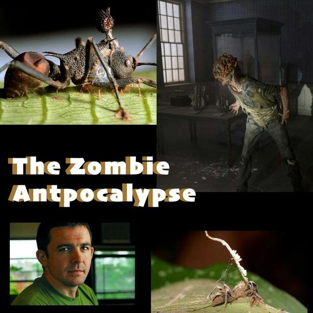 FTA66 - The Zombie Antpocalypse - podcast episode cover