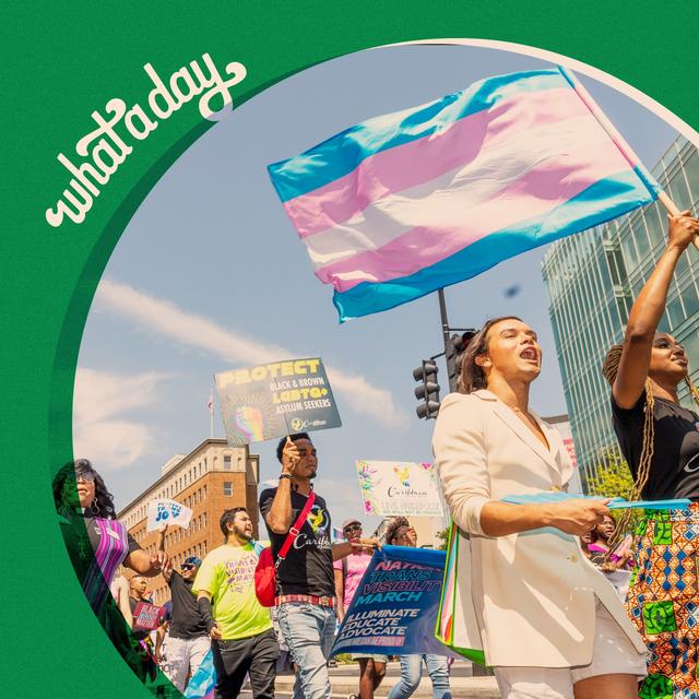 How Anti-Trans Laws Hurt Everyone - podcast episode cover