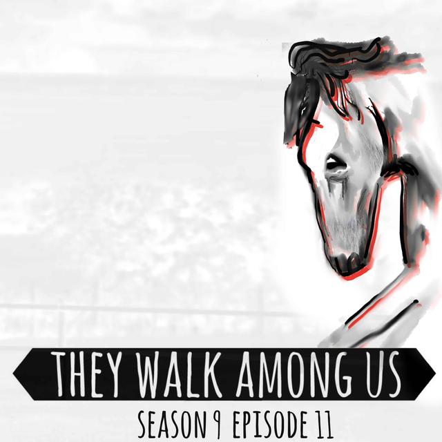 Suicide or Murder? / Ryan & Sandra James - podcast episode cover