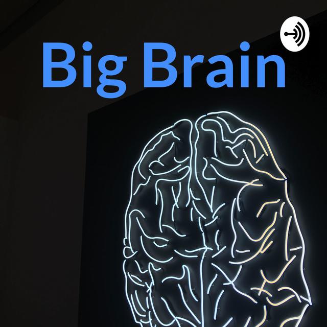 Big Brain (Trailer) - podcast episode cover