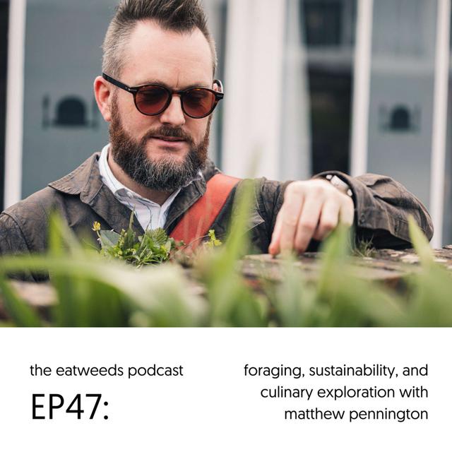 EP47: Foraging, Sustainability and Culinary Exploration with Matthew Pennington - podcast episode cover