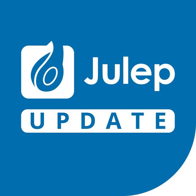 Was ist DAI Vermarktung? - Julep Update - podcast episode cover