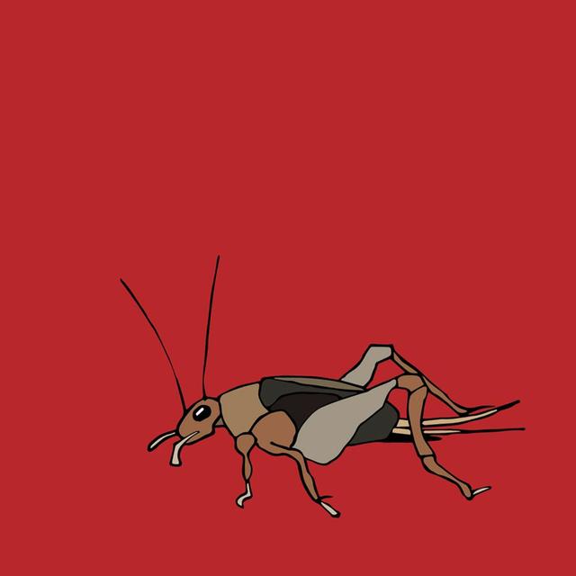 #9 Bug Bites, Part II - podcast episode cover