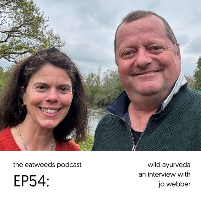 EP54: Wild Ayurveda - podcast episode cover