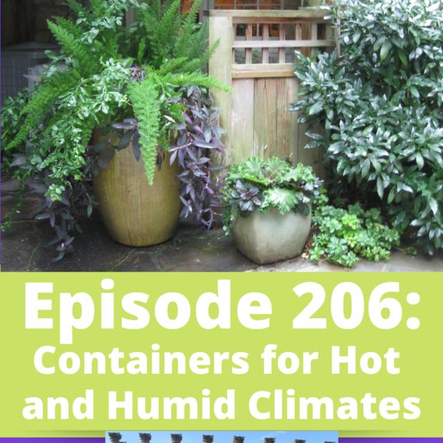 Containers for Hot and Humid Climates - podcast episode cover