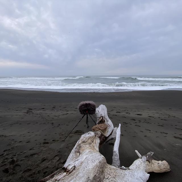170: Lost Coast- Spring Evening At Mattole Beach - podcast episode cover