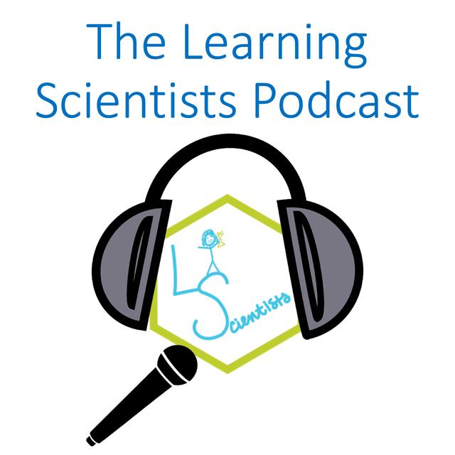 Episode 91: Executive Functioning in Special Education with Sean McCormick - podcast episode cover