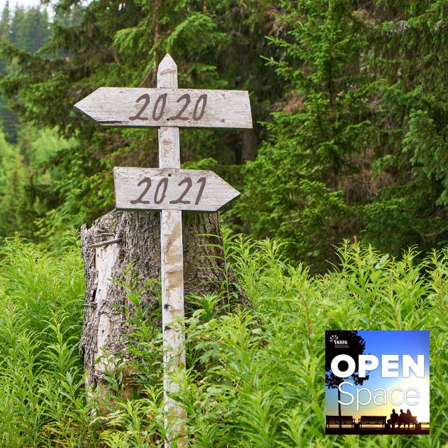 2020 Reflections and Looking Ahead to 2021 — Episode 081 - podcast episode cover