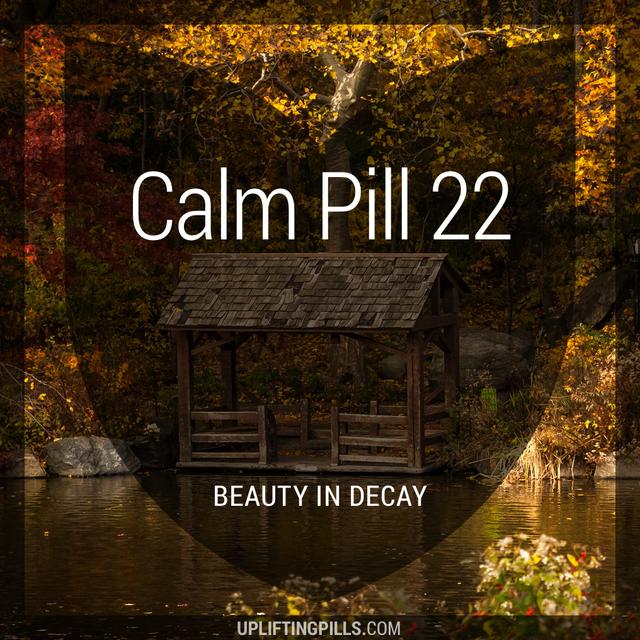 Beauty In Decay - podcast episode cover