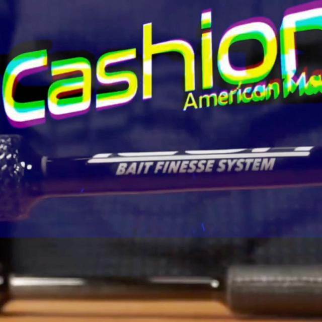 TW 337 - Bait Finesse System - podcast episode cover