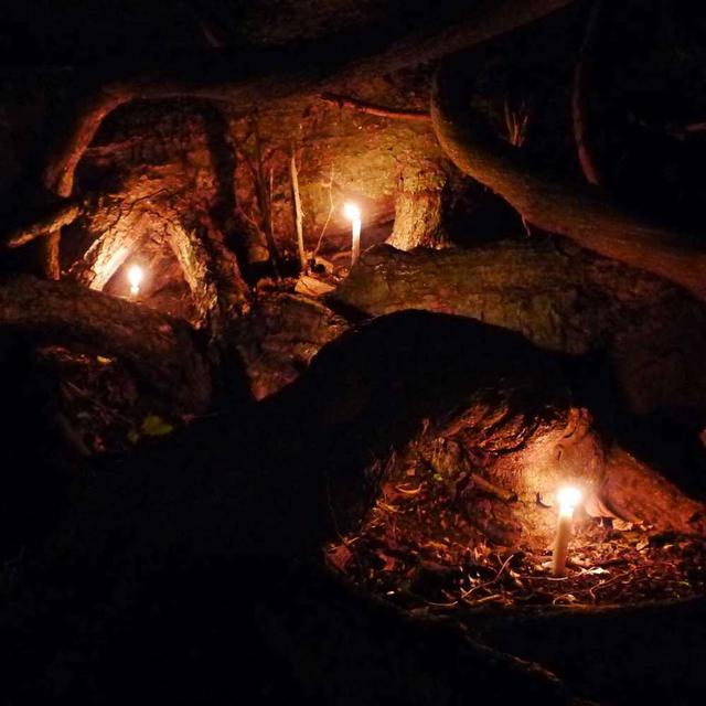 DeeplyRooted: Honoring our Ancestors and the Earth with LEAH PENNIMAN /188 - podcast episode cover