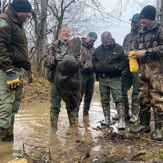 TW 282 - Raccoon, Beaver, Coyote, Oh My! Tennessee Traplines - podcast episode cover