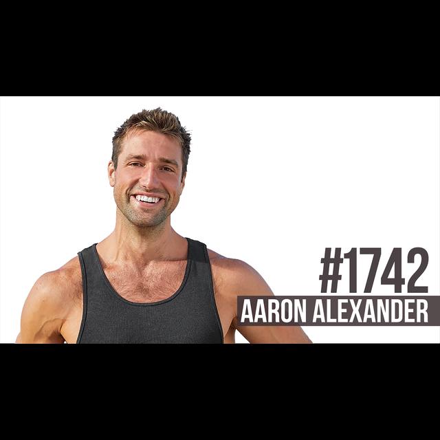 1742: Improve Your Life & Overcome Pain With Movement Featuring Aaron Alexander - podcast episode cover