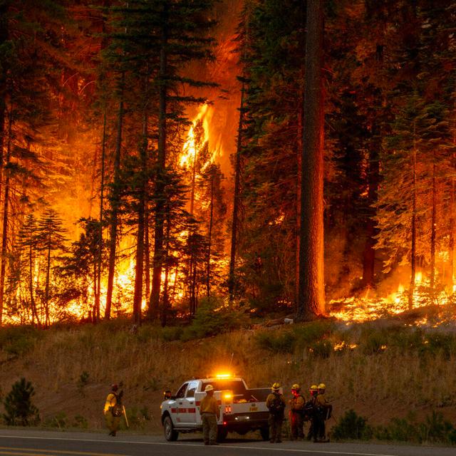 The Future Of Fighting And Preventing Forest Fires - podcast episode cover