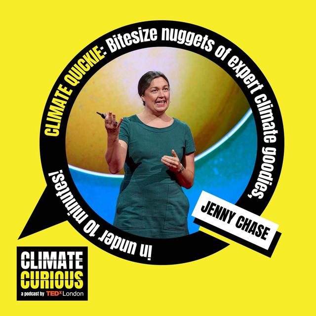 How solar panels became the darling of the climate movement - podcast episode cover