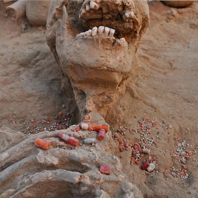 Ep 1: The Rakhigarhi Genome - podcast episode cover