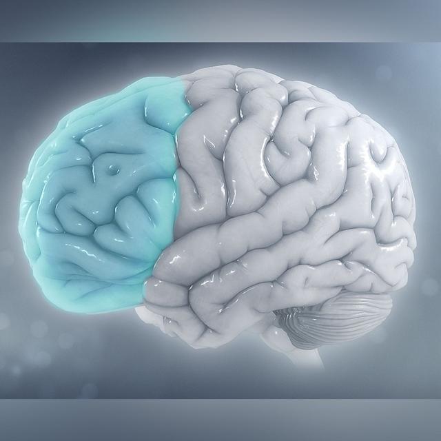 Neuroscience of Focus with Heather Berlin - podcast episode cover