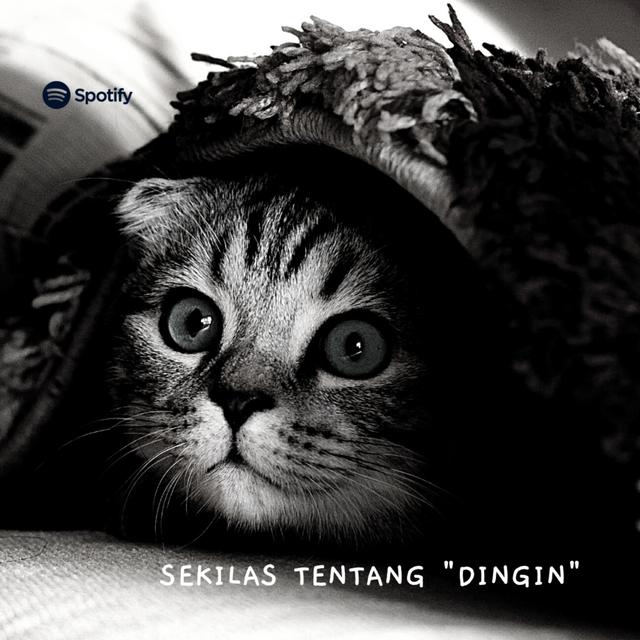dingin - podcast episode cover